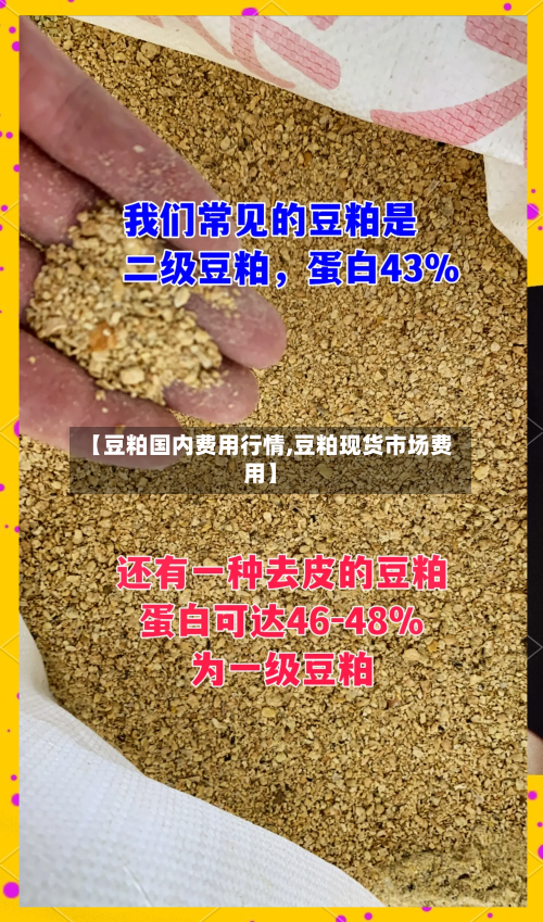 【豆粕国内费用行情,豆粕现货市场费用】-第2张图片