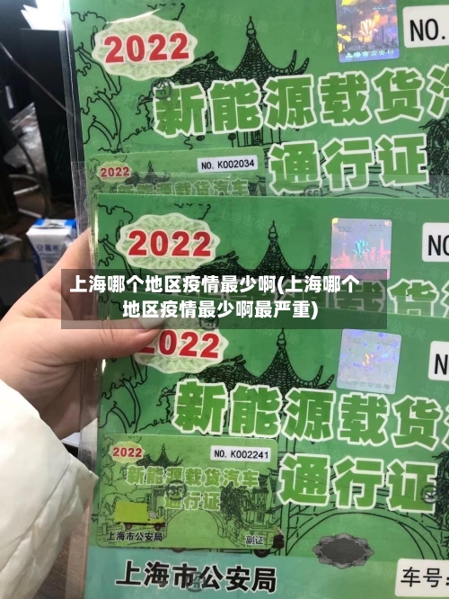 上海哪个地区疫情最少啊(上海哪个地区疫情最少啊最严重)-第3张图片