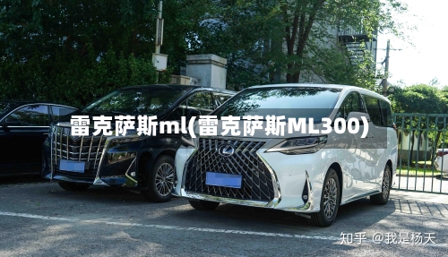 雷克萨斯ml(雷克萨斯ML300)-第1张图片