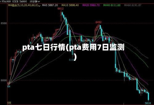 pta七日行情(pta费用7日监测)-第1张图片