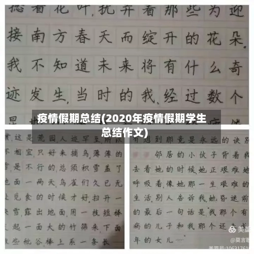 疫情假期总结(2020年疫情假期学生总结作文)-第2张图片