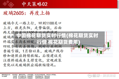 中国棉花期货实时行情(棉花期货实时行情 棉花期货费用)-第1张图片