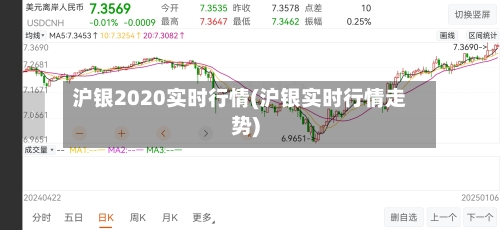 沪银2020实时行情(沪银实时行情走势)-第1张图片