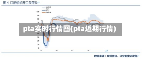 pta实时行情图(pta近期行情)-第3张图片