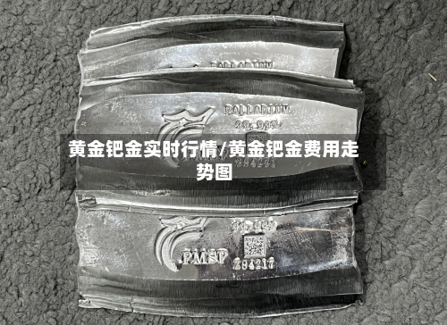 黄金钯金实时行情/黄金钯金费用走势图-第1张图片