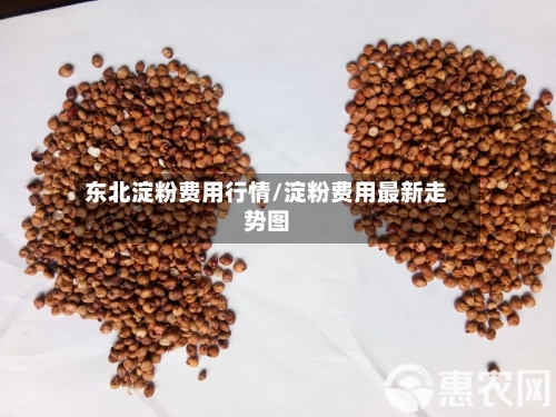 东北淀粉费用行情/淀粉费用最新走势图-第2张图片
