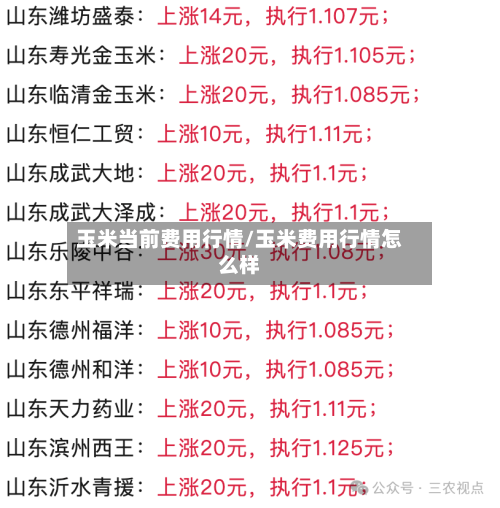 玉米当前费用行情/玉米费用行情怎么样-第2张图片