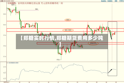 【郑糖实时行情,郑糖期货费用多少吨】-第2张图片