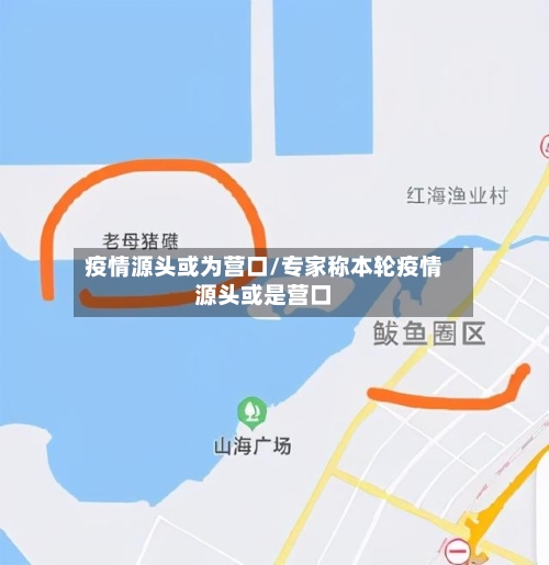 疫情源头或为营口/专家称本轮疫情源头或是营口-第2张图片