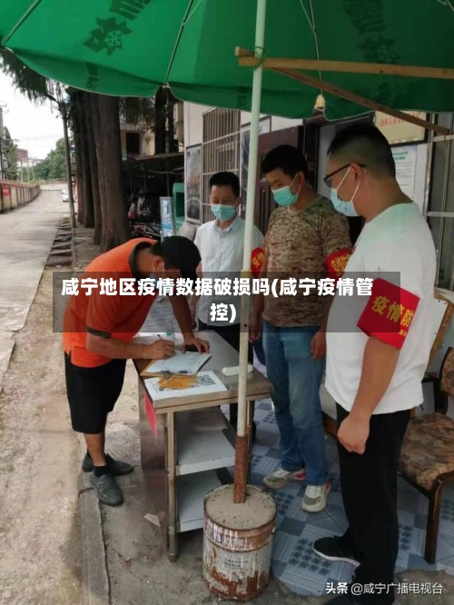 咸宁地区疫情数据破损吗(咸宁疫情管控)-第2张图片