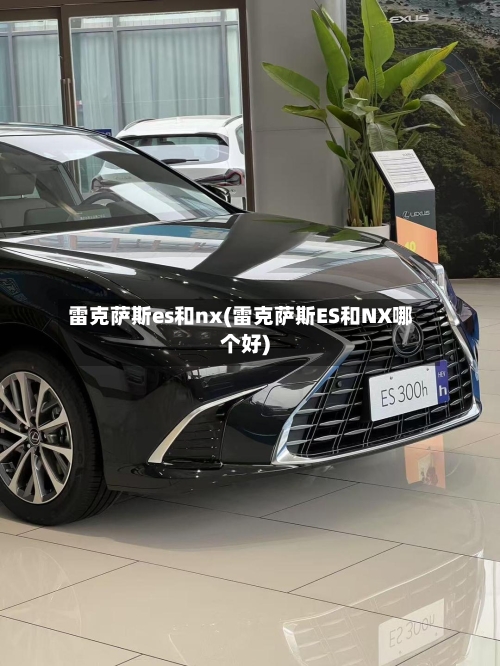 雷克萨斯es和nx(雷克萨斯ES和NX哪个好)-第1张图片