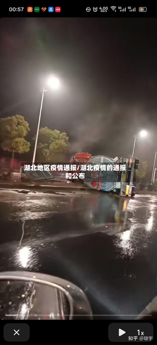 湖北地区疫情通报/湖北疫情的通报和公布-第1张图片