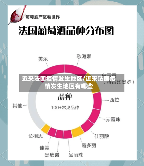 近来法国疫情发生地区/近来法国疫情发生地区有哪些-第2张图片