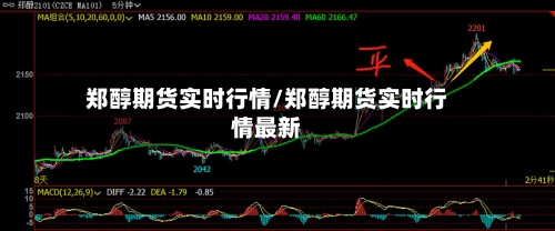 郑醇期货实时行情/郑醇期货实时行情最新-第2张图片
