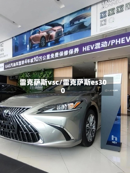 雷克萨斯vsc/雷克萨斯es300-第2张图片
