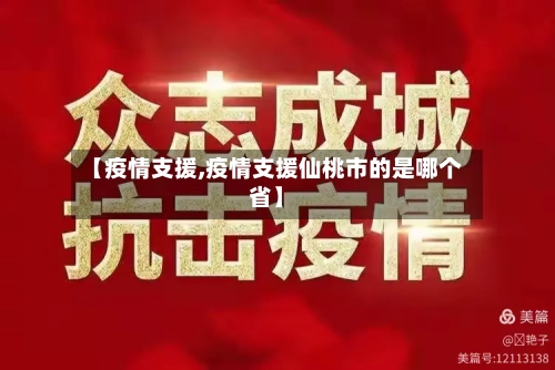 【疫情支援,疫情支援仙桃市的是哪个省】-第2张图片