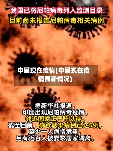 中国现在疫情(中国现在疫情最新情况)-第1张图片