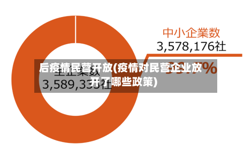 后疫情民营开放(疫情对民营企业放开了哪些政策)-第2张图片