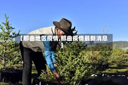 【那曲地区疫情,那曲疫情最新消息】-第1张图片