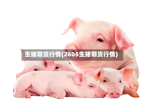 生猪期货行情(2605生猪期货行情)-第1张图片