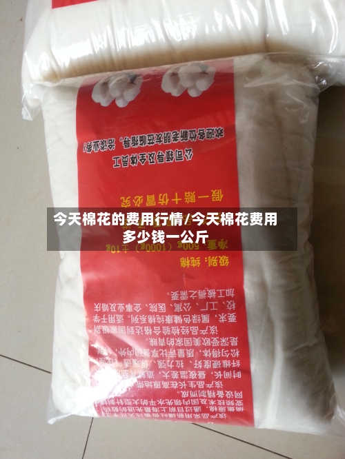 今天棉花的费用行情/今天棉花费用多少钱一公斤-第1张图片