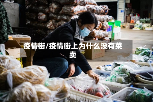 疫情街/疫情街上为什么没有菜卖-第3张图片