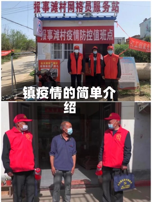 镇疫情的简单介绍-第2张图片