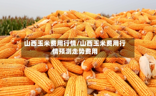 山西玉米费用行情/山西玉米费用行情预测走势费用-第3张图片