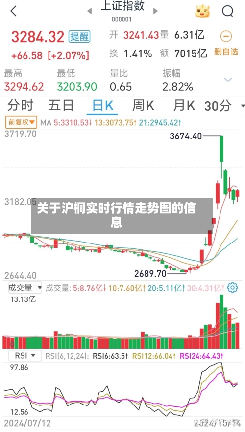 关于沪桐实时行情走势图的信息-第2张图片