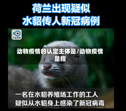 动物疫情的认定主体是/动物疫情是指-第1张图片