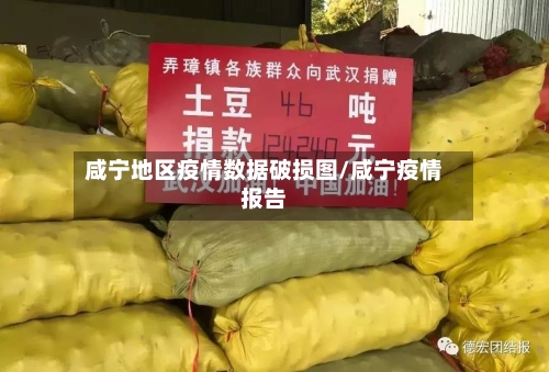 咸宁地区疫情数据破损图/咸宁疫情报告-第1张图片
