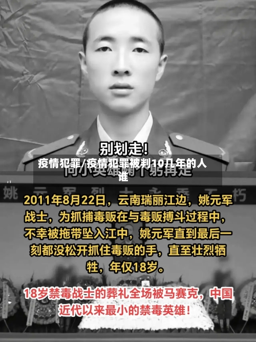 疫情犯罪/疫情犯罪被判10几年的人谁-第2张图片