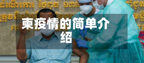 柬疫情的简单介绍-第3张图片