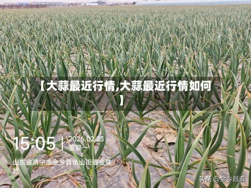 【大蒜最近行情,大蒜最近行情如何】-第2张图片