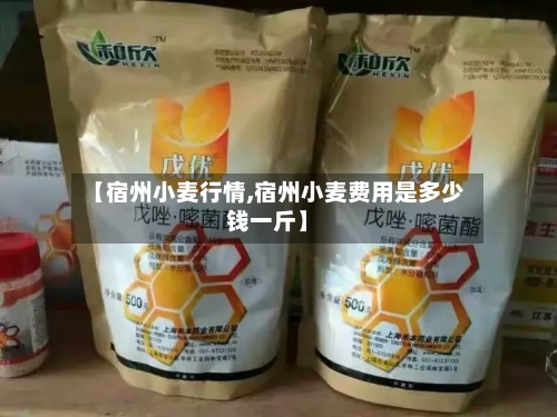 【宿州小麦行情,宿州小麦费用是多少钱一斤】-第1张图片