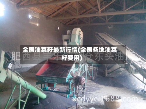 全国油菜籽最新行情(全国各地油菜籽费用)-第1张图片