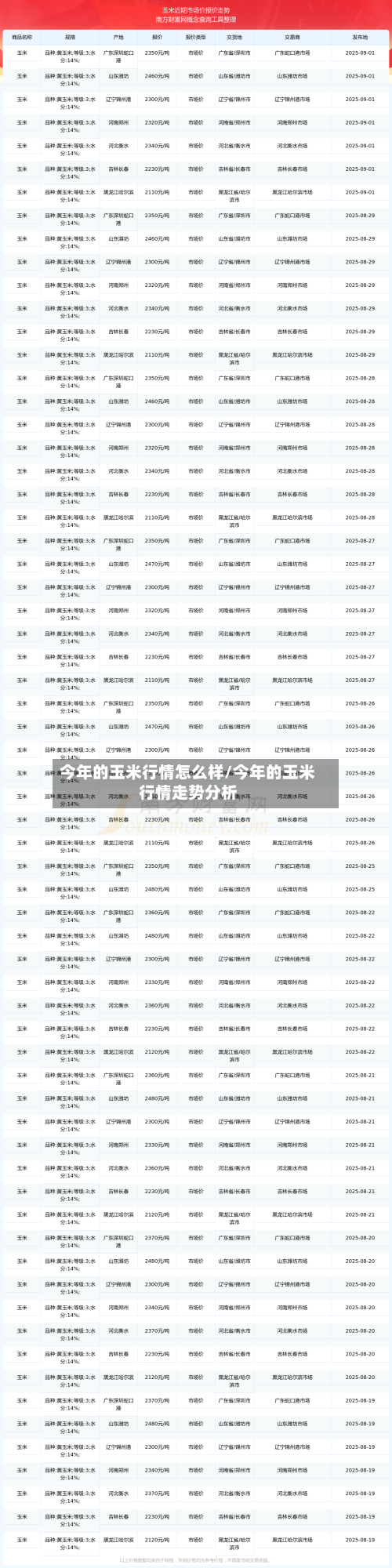 今年的玉米行情怎么样/今年的玉米行情走势分析-第2张图片