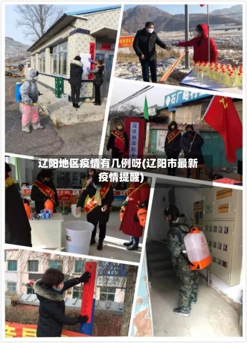 辽阳地区疫情有几例呀(辽阳市最新疫情提醒)-第1张图片