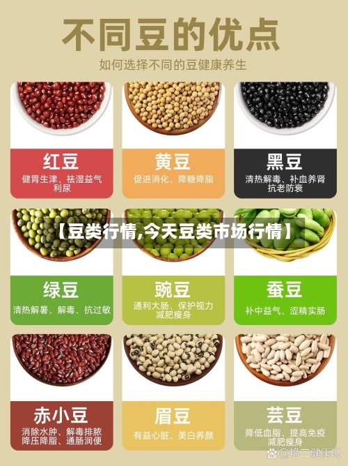 【豆类行情,今天豆类市场行情】-第1张图片