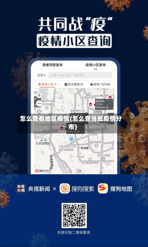 怎么查看地区疫情(怎么查当地疫情分布)-第3张图片