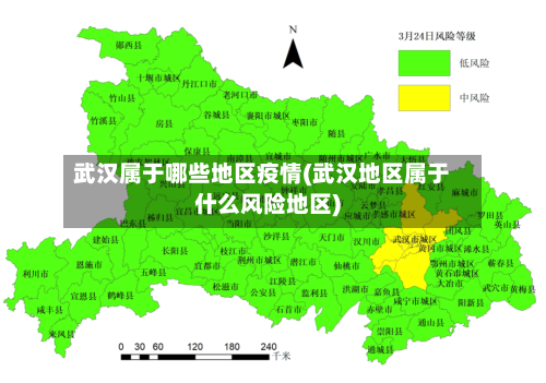 武汉属于哪些地区疫情(武汉地区属于什么风险地区)-第1张图片