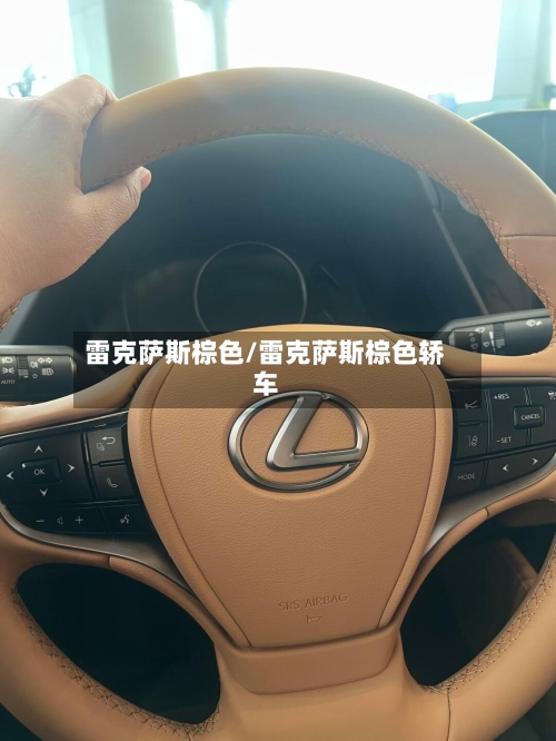 雷克萨斯棕色/雷克萨斯棕色轿车-第1张图片
