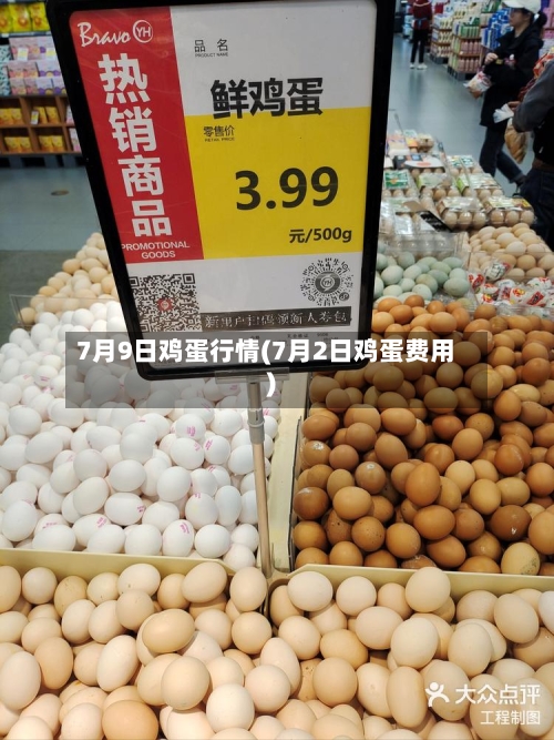 7月9日鸡蛋行情(7月2日鸡蛋费用)-第1张图片