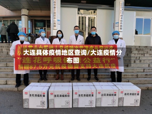 大连具体疫情地区查询/大连疫情分布图-第2张图片