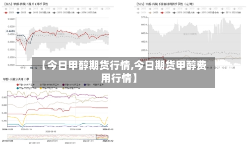 【今日甲醇期货行情,今日期货甲醇费用行情】-第2张图片