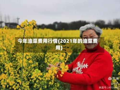 今年油菜费用行情(2021年的油菜费用)-第3张图片