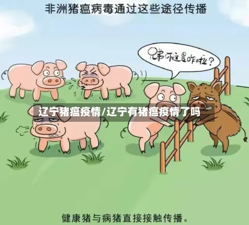 辽宁猪瘟疫情/辽宁有猪瘟疫情了吗-第2张图片