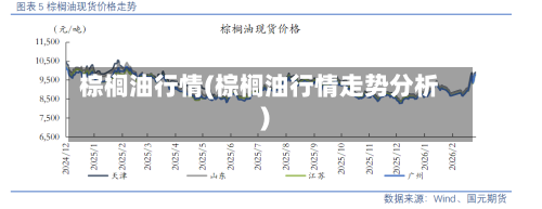 棕榈油行情(棕榈油行情走势分析)-第2张图片