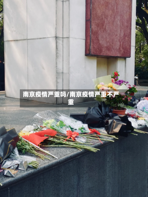 南京疫情严重吗/南京疫情严重不严重-第1张图片
