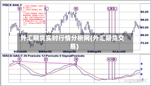 外汇期货实时行情分析网(外汇期货交易)-第1张图片